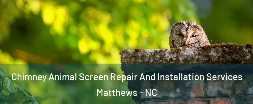  Chimney Animal Screen Repair And Installation Services Matthews - NC