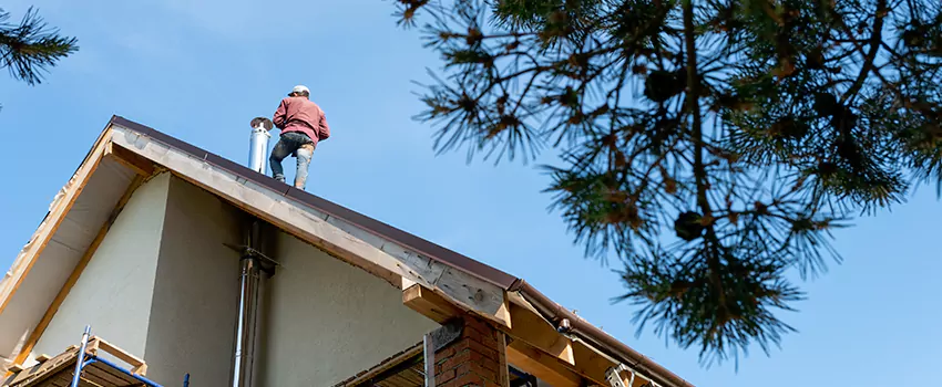 Birds Removal Contractors from Chimney in Matthews, NC