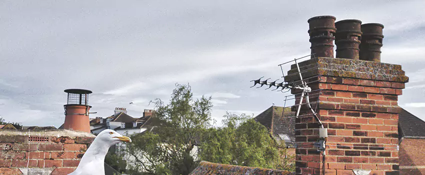Chimney Cleaning And Restoration in Matthews, North Carolina