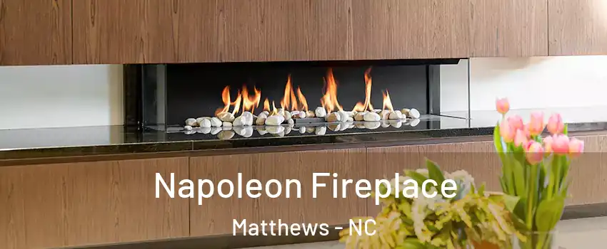  Napoleon Fireplace Matthews - NC